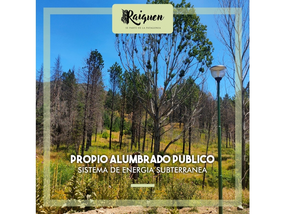 EN VENTA PARCELAS DE APROX. 9.000 M2 EN LAGO PUELO LO-244 - 4