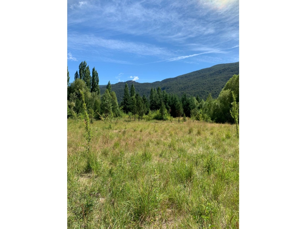 SE ALQUILA TERRENO DE 6.000 M2 EN EL BOLSÓN - 4