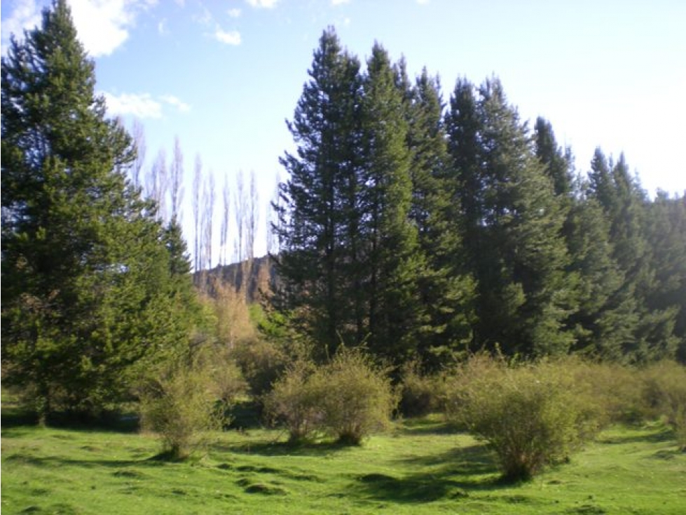 EN VENTA CHACRA EN MALLÍN AHOGADO, EL BOLSÓN - 4