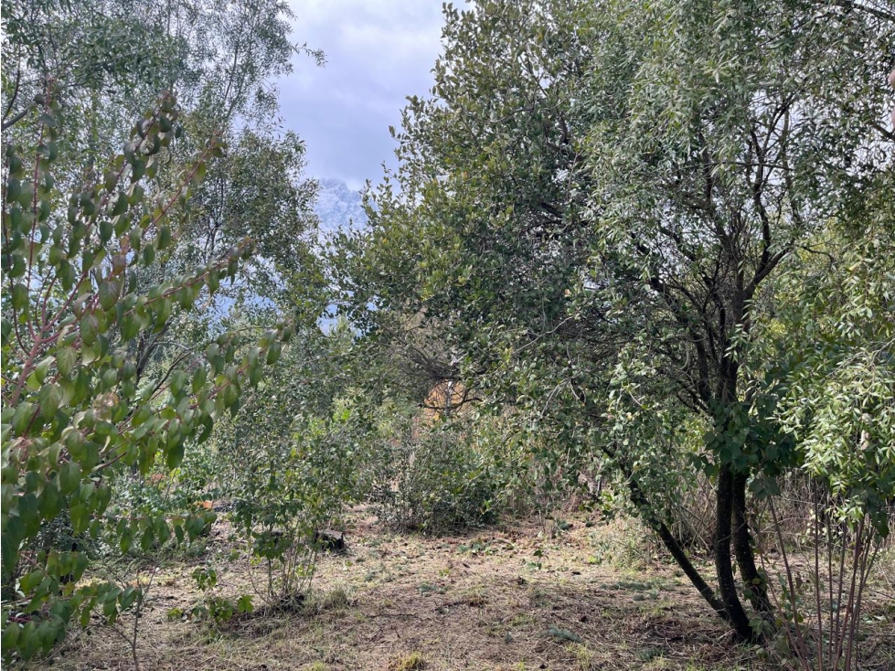 EN VENTA LOTE DE 500 M2 EN BARRIO BUENA VISTA, EL BOLSÓN - 5