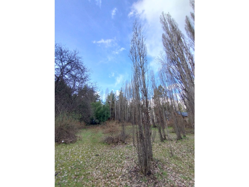 EN VENTA LOTE DE 5000 M2 A POCA DISTANCIA DE LA RUTA 40 SUR, EL BOLSÓN - 4