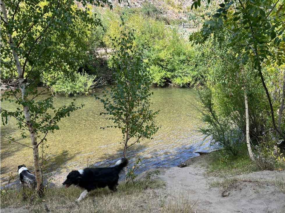 EN VENTA CHACRA DE 6 HA EN EL HOYO, CHUBUT. CH 24 - 4