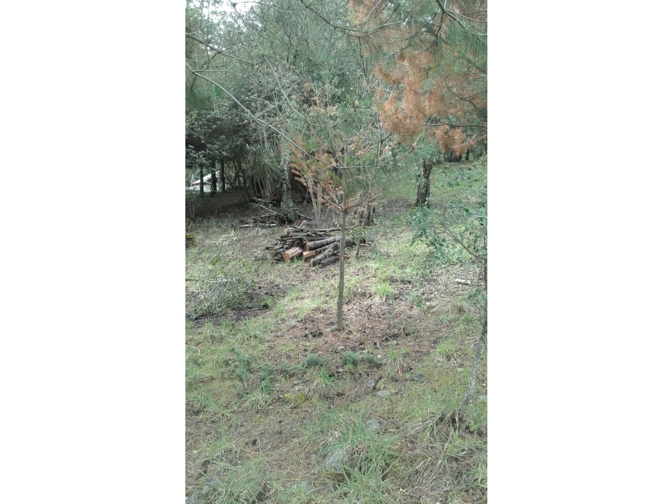 EN VENTA LOTE DE 1500 M2 EN LAGO PUELO LO-219 - 6