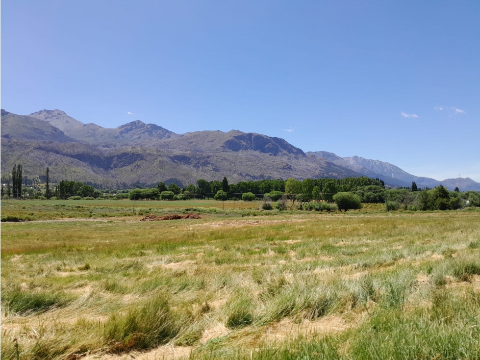 EN VENTA LOTES DE 600 A 700 M2 APROX EN EL HOYO LO-257 - 4