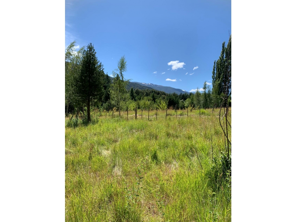 SE ALQUILA TERRENO DE 6.000 M2 EN EL BOLSÓN - 5