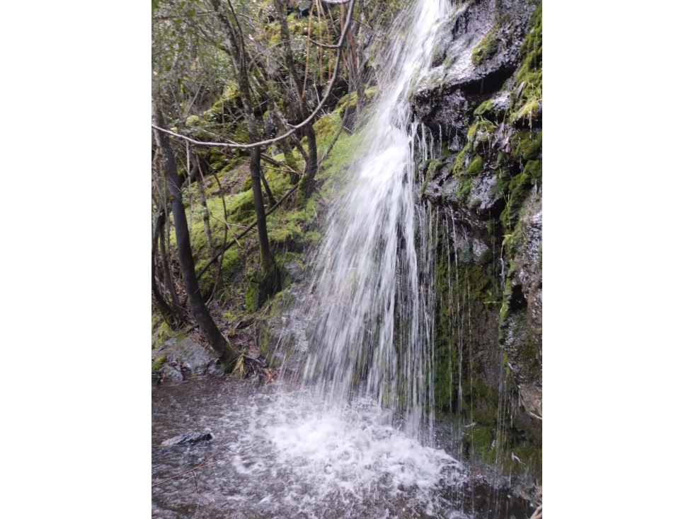 EN VENTA LOTE DE 5000 M2 A POCA DISTANCIA DE LA RUTA 40 SUR, EL BOLSÓN - 5