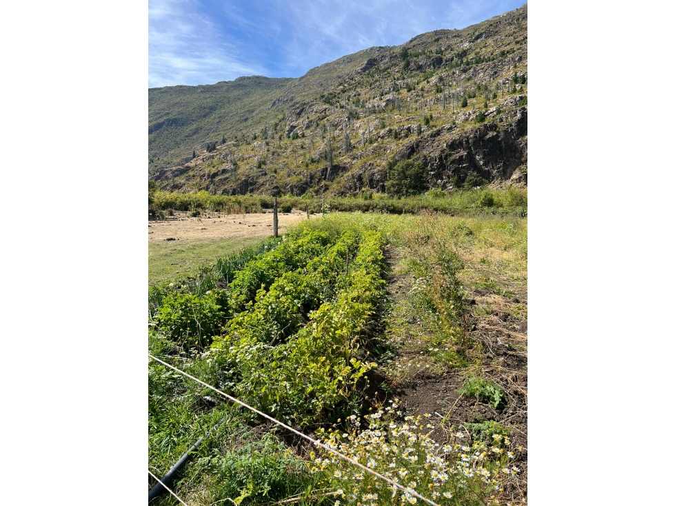 EN VENTA CHACRA DE 6 HA EN EL HOYO, CHUBUT. CH 24 - 2