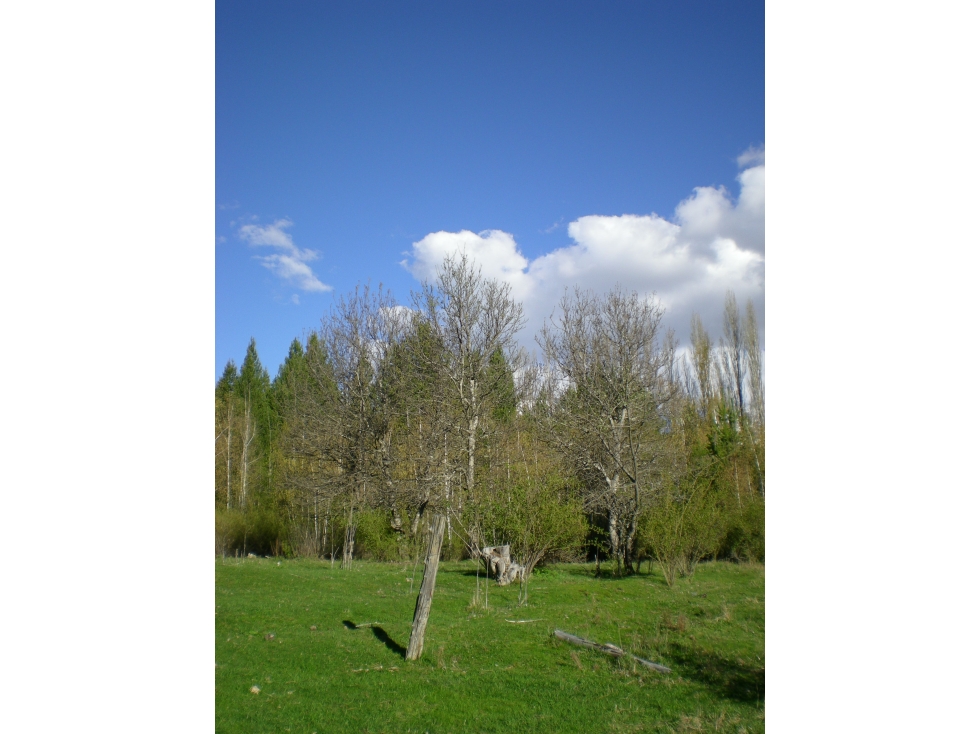 EN VENTA CHACRA EN MALLÍN AHOGADO, EL BOLSÓN - 6