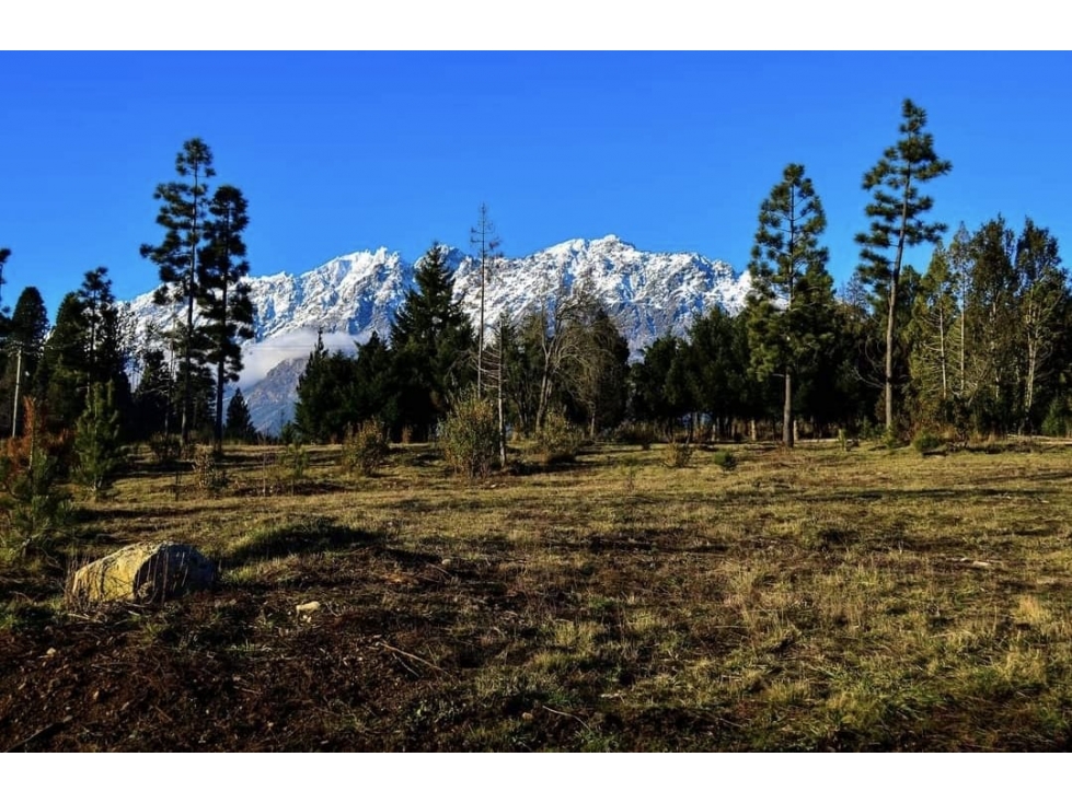 EN VENTA AMPLIO LOTE EN CERRO RADAL, LAGO PUELO LO-232 - 2