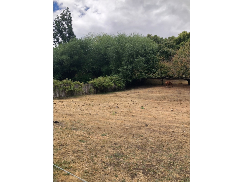 EN VENTA LOTE DE 5000 M2 EN CERRO AMIGO, EL BOLSÓN - 6