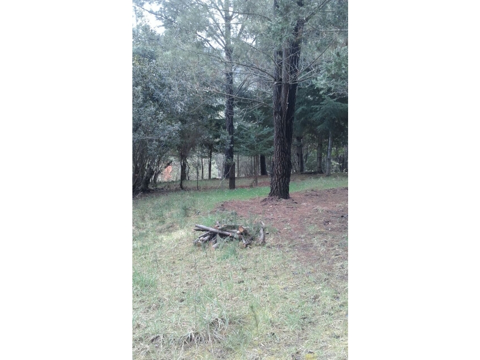 EN VENTA LOTE DE 1500 M2 EN LAGO PUELO LO-219 - 2