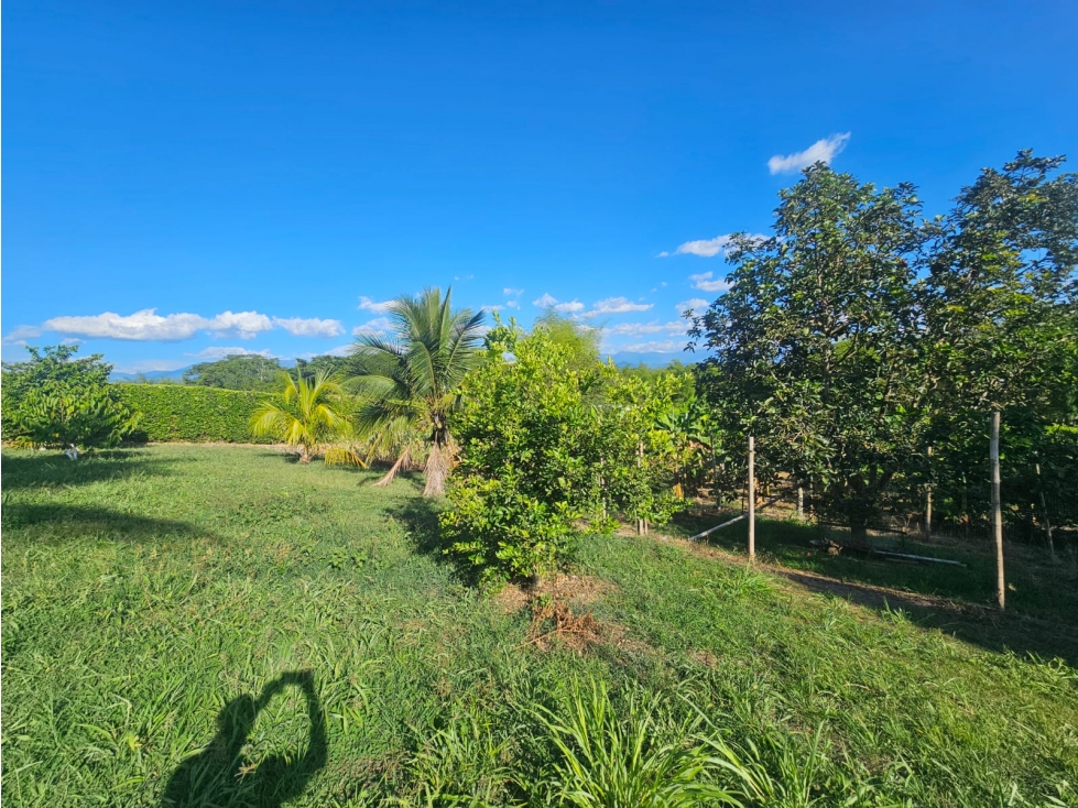 LOTE PARA LA VENTA EN LA TEBAIDA, QUINDÍO - INDEPENDIENTE - 2