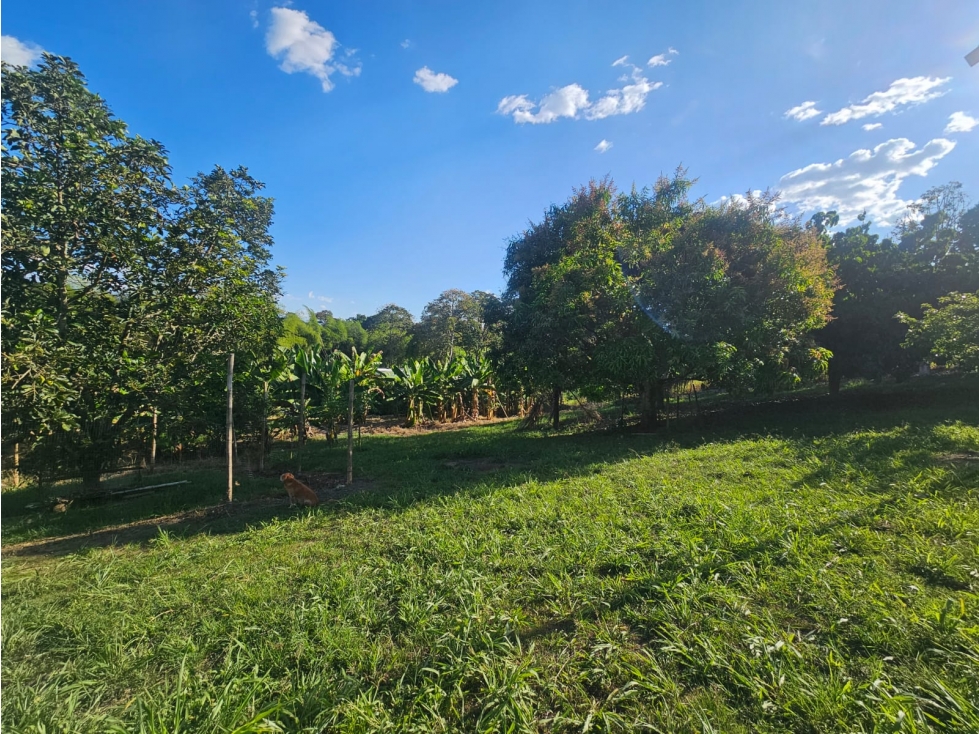 LOTE PARA LA VENTA EN LA TEBAIDA, QUINDÍO - INDEPENDIENTE - 3
