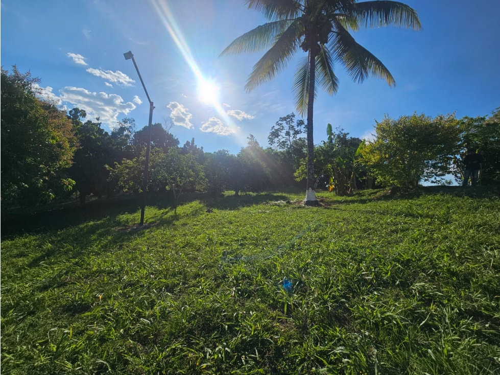 LOTE PARA LA VENTA EN LA TEBAIDA, QUINDÍO - INDEPENDIENTE - 4