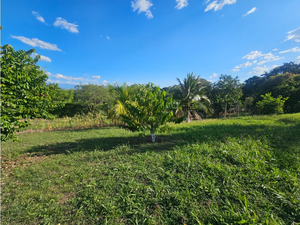 LOTE PARA LA VENTA EN LA TEBAIDA, QUINDÍO - INDEPENDIENTE - 5