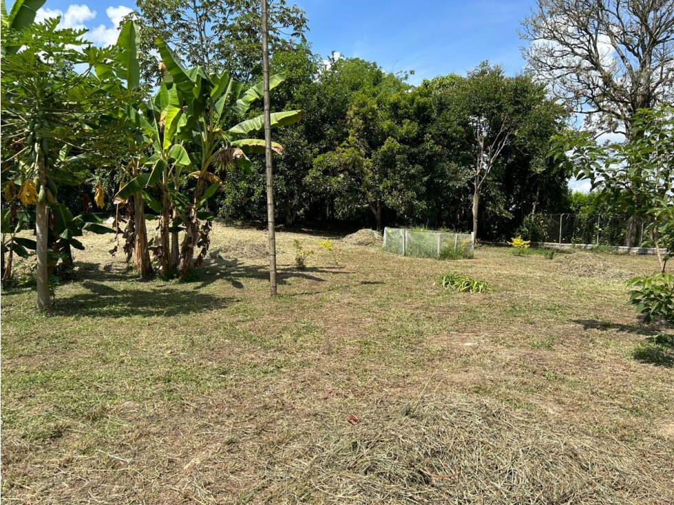 LOTE PARA LA VENTA EN LA TEBAIDA, QUINDÍO - INDEPENDIENTE - 6