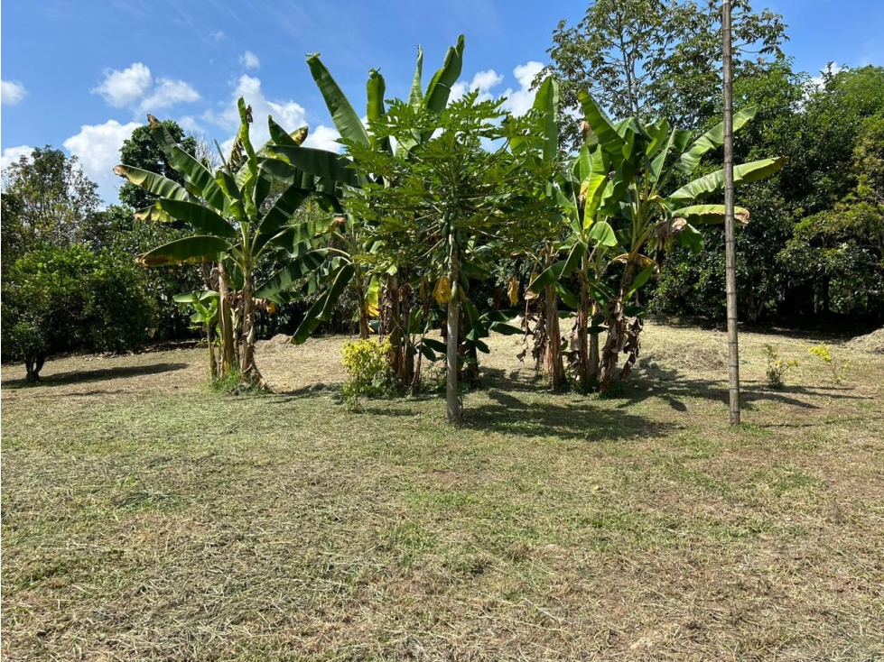 LOTE PARA LA VENTA EN LA TEBAIDA, QUINDÍO - INDEPENDIENTE - 2