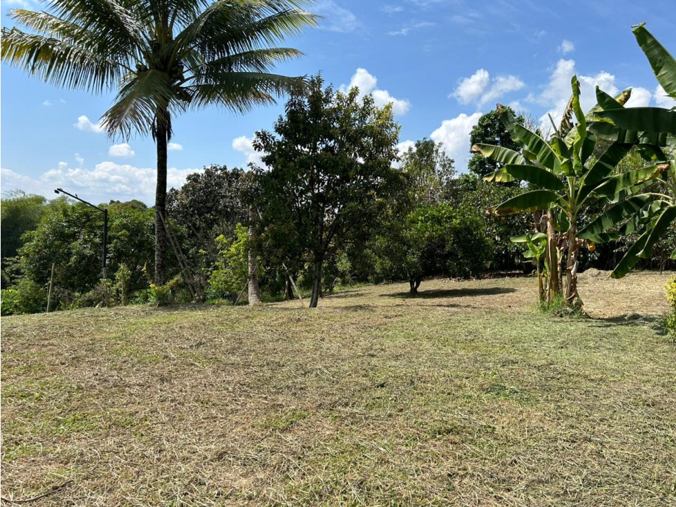 LOTE PARA LA VENTA EN LA TEBAIDA, QUINDÍO - INDEPENDIENTE - 3