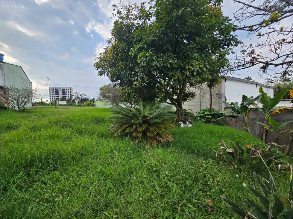 VENTA DE LOTE PARA PROYECTO INMOBILIARIO, NORTE DE ARMENIA, QUINDÍO