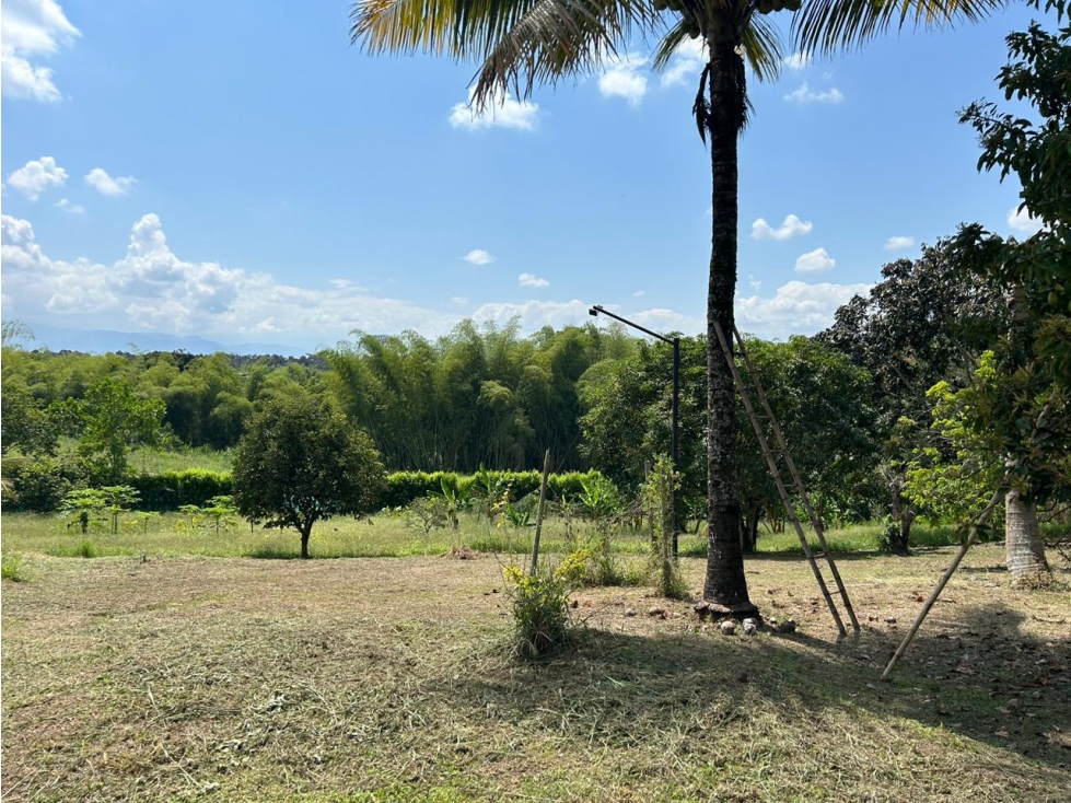 LOTE PARA LA VENTA EN LA TEBAIDA, QUINDÍO - INDEPENDIENTE - 1