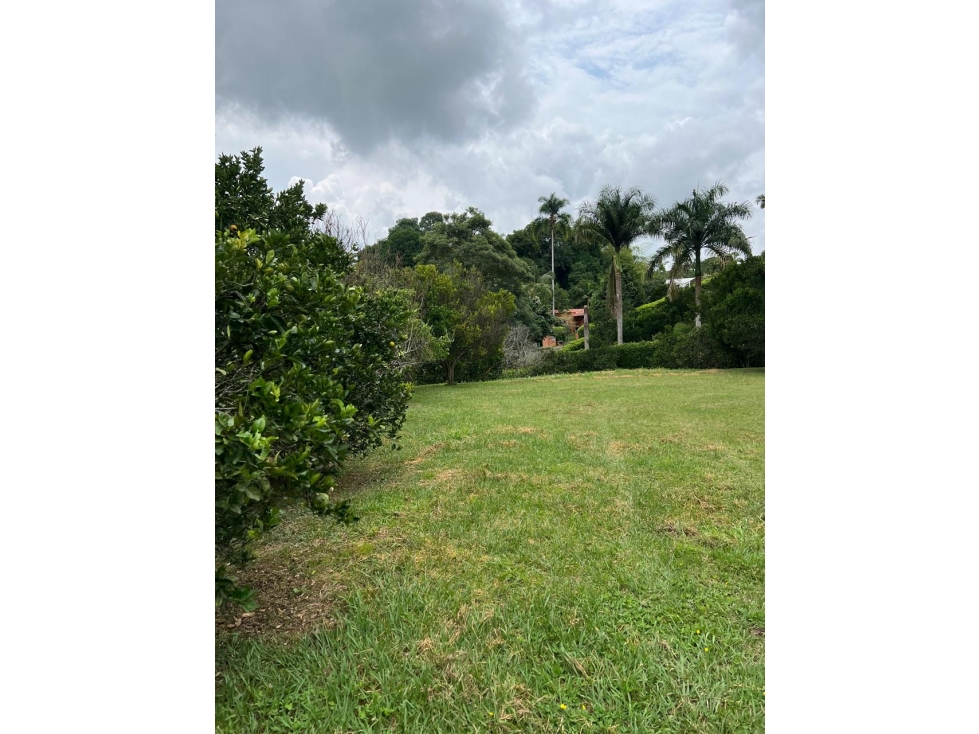 VENTA HERMOSO LOTE CONDOMINIO EN EL TIGRE CERRITOS PEREIRA — foto 5