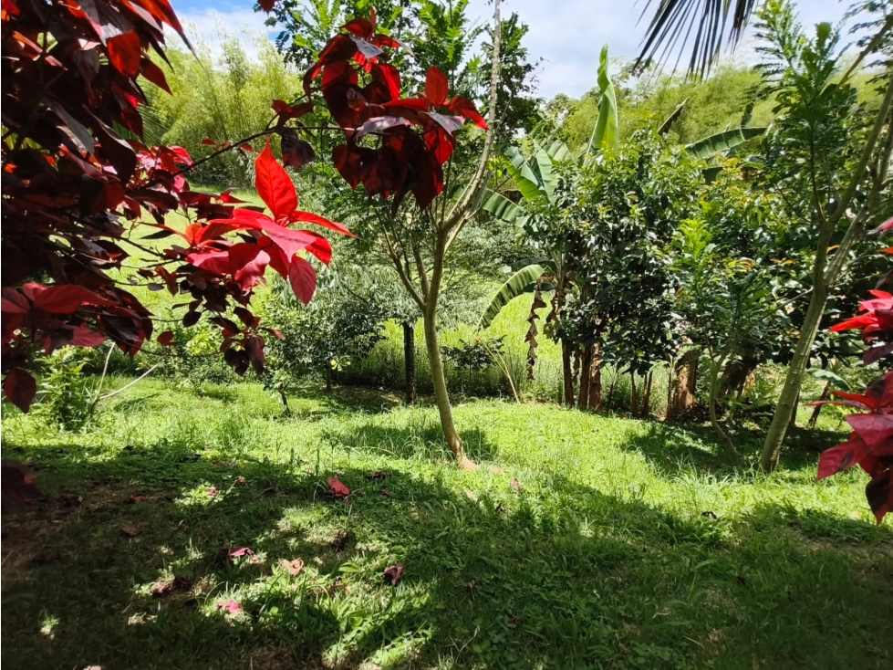 VENTA CASA CAMPESTRE CON 4 ALCOBAS EN CERRITOS PEREIRA — foto 3