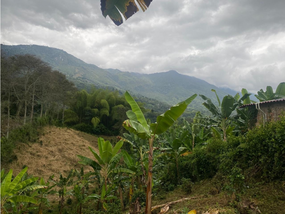 VENTA DE LOTE EN CALARCA QUINDIO - 1