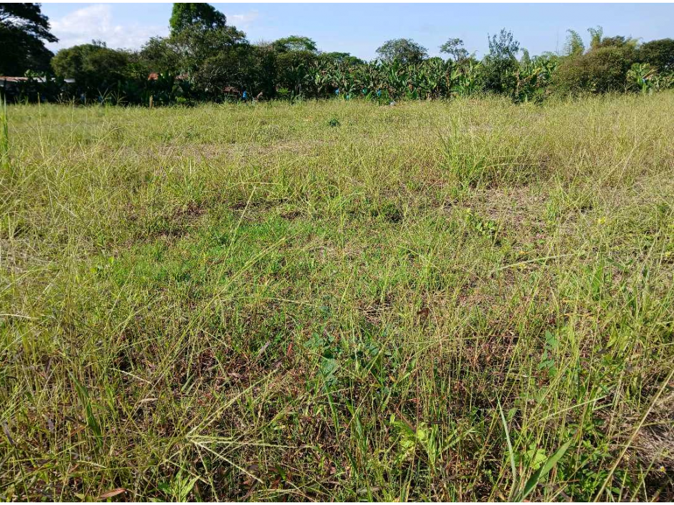 VENTA DE LOTE EN EL QUINDIO SECTOR EL CAIMO