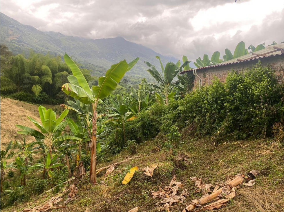 VENTA DE LOTE EN CALARCA QUINDIO - 2