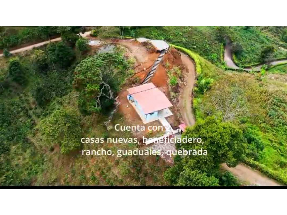 VENTA DE FINCA EN BUENAVISTA QUINDIO - 2