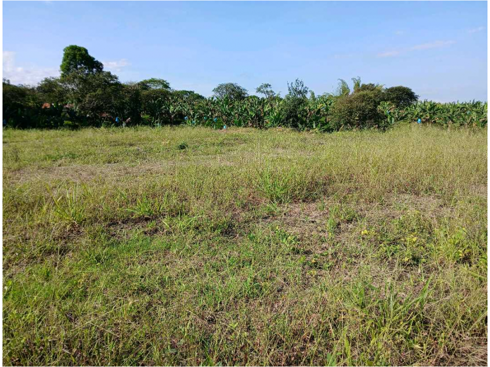 VENTA DE LOTE EN EL QUINDIO SECTOR EL CAIMO — foto 2