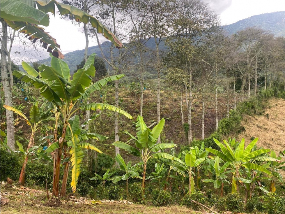 VENTA DE LOTE EN CALARCA QUINDIO - 3