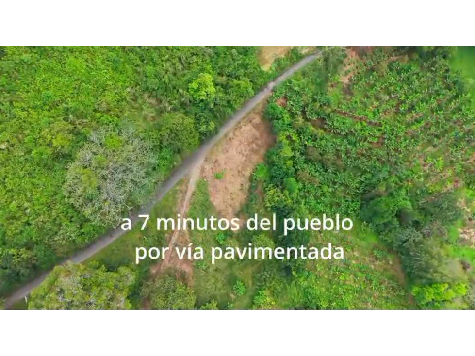 VENTA DE FINCA EN BUENAVISTA QUINDIO - 3