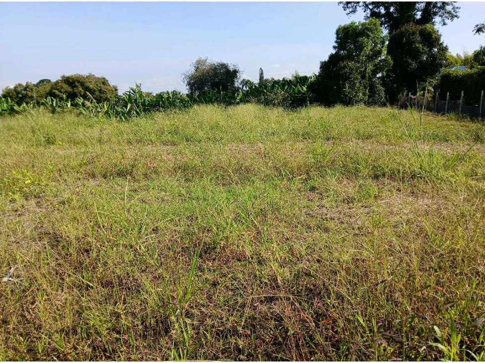 VENTA DE LOTE EN EL QUINDIO SECTOR EL CAIMO — foto 3