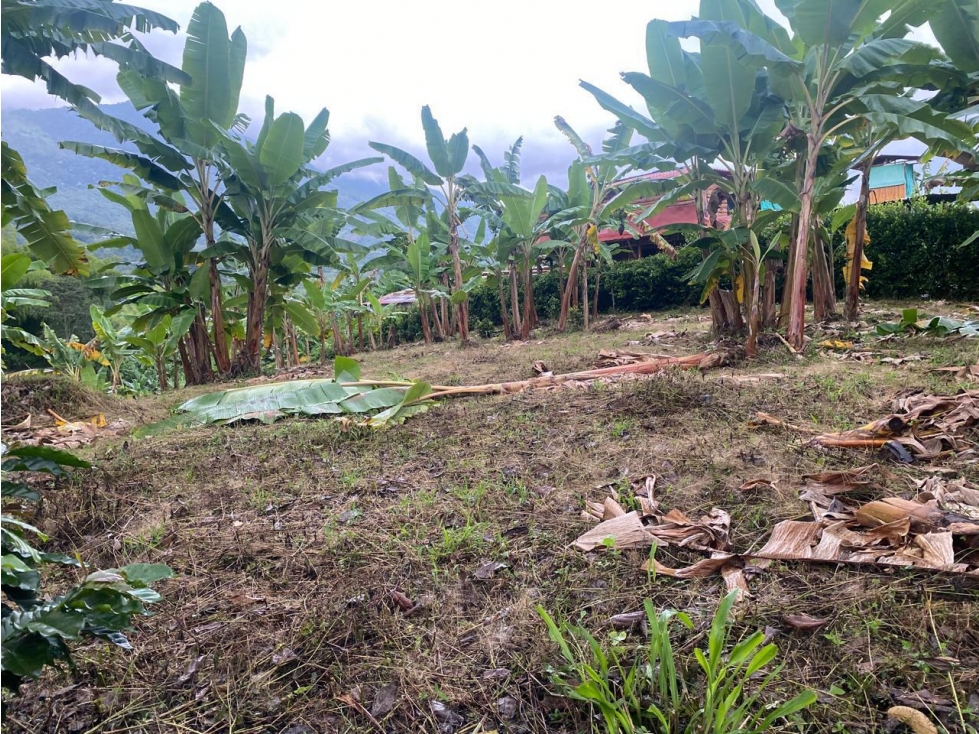 VENTA DE LOTE EN CALARCA QUINDIO - 4