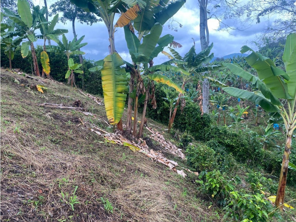 VENTA DE LOTE EN CALARCA QUINDIO - 5
