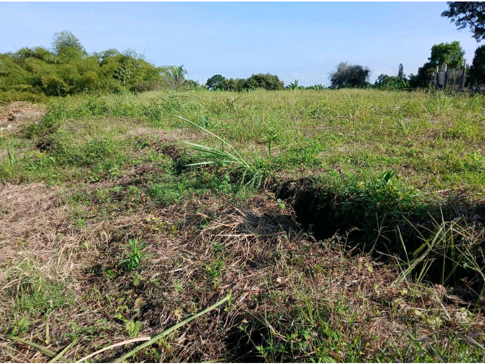 VENTA DE LOTE EN EL QUINDIO SECTOR EL CAIMO — foto 5