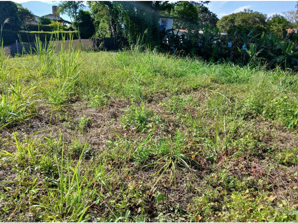 VENTA DE LOTE EN EL QUINDIO SECTOR EL CAIMO — foto 6