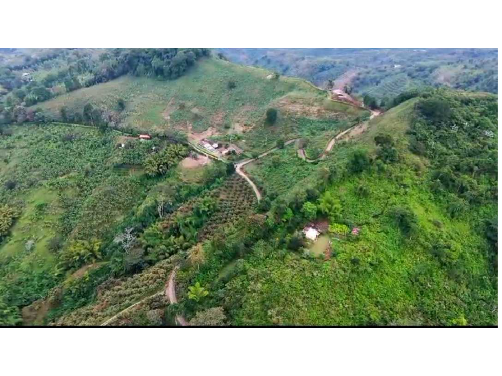 VENTA DE FINCA EN BUENAVISTA QUINDIO - 5