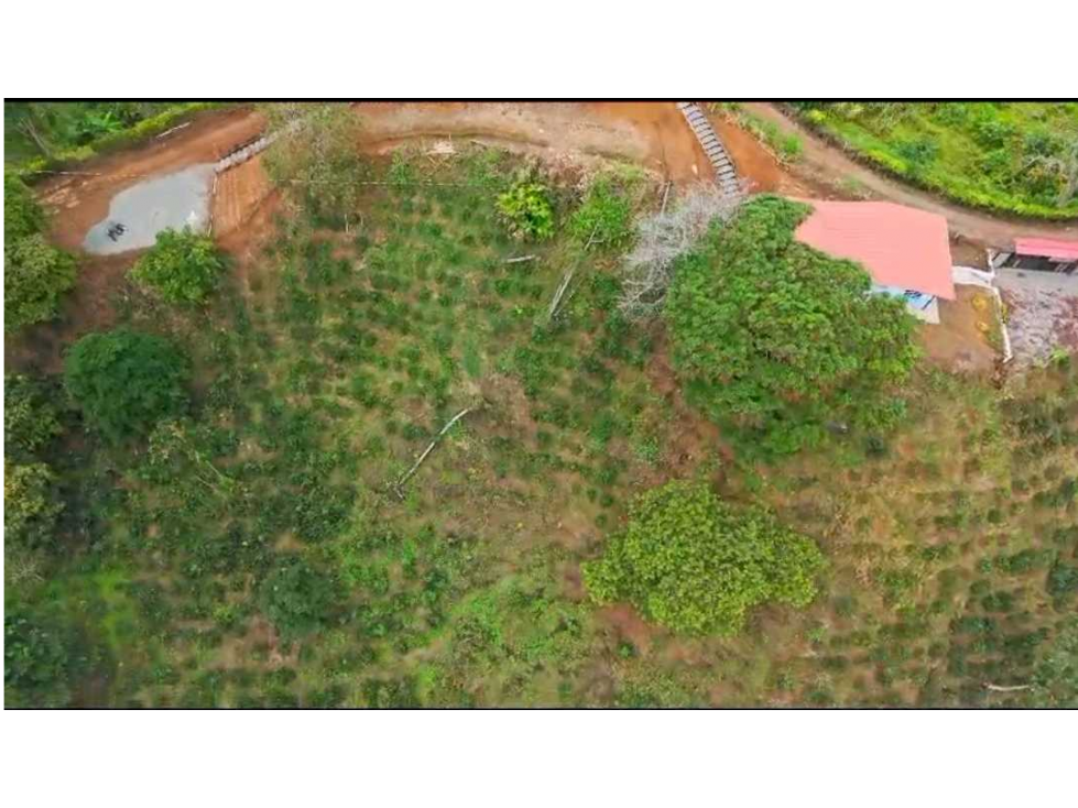 VENTA DE FINCA EN BUENAVISTA QUINDIO - 6