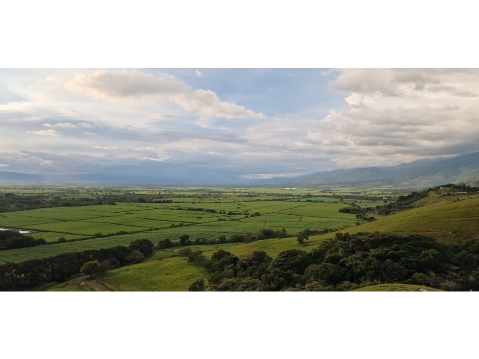 VENTA DE LOTE PARCELACION LOS LAGOS " PALMIRA" — foto 6
