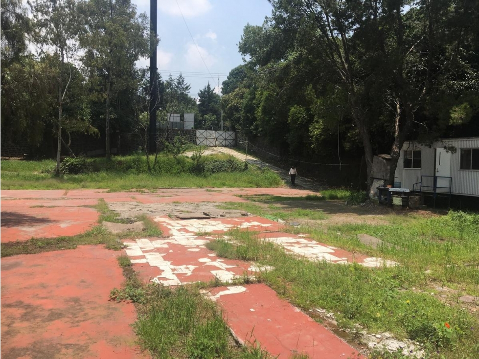 Terreno en Venta Uso de suelo Mixto - 3