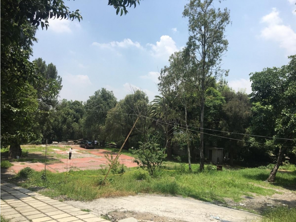 Terreno en Venta Uso de suelo Mixto - 5