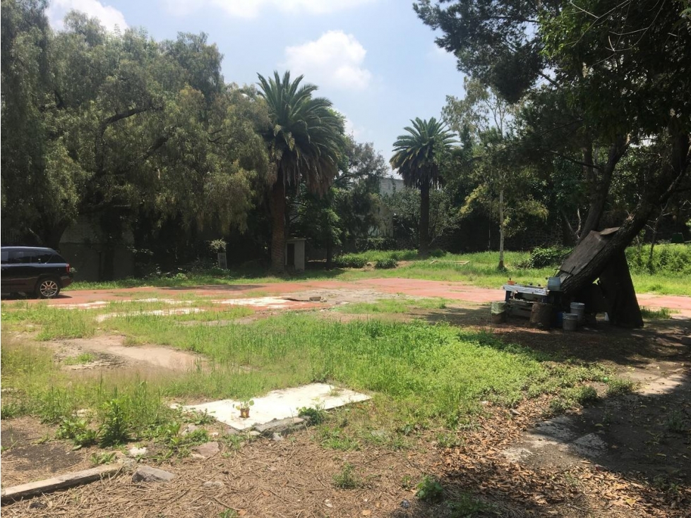 Terreno en Venta Uso de suelo Mixto - 6