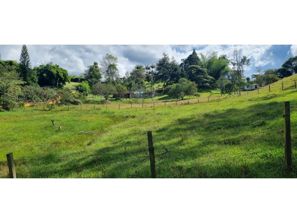 VENDO LOTE DE 15.119 M2 EN CABECERAS, LLANOGRANDE