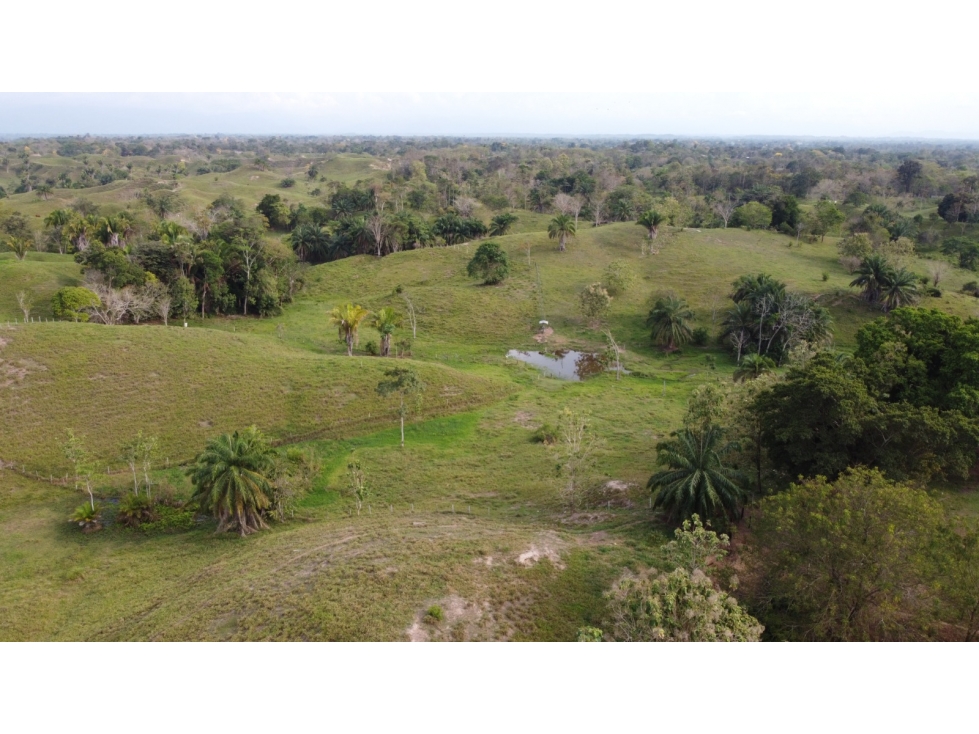 Lote en Puerto Boyaca - 5