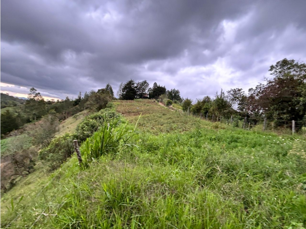 Lote en Vereda Aldana Abajo El Santuario