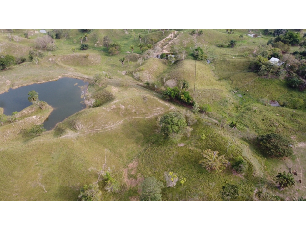 Lote en Puerto Boyaca - 3
