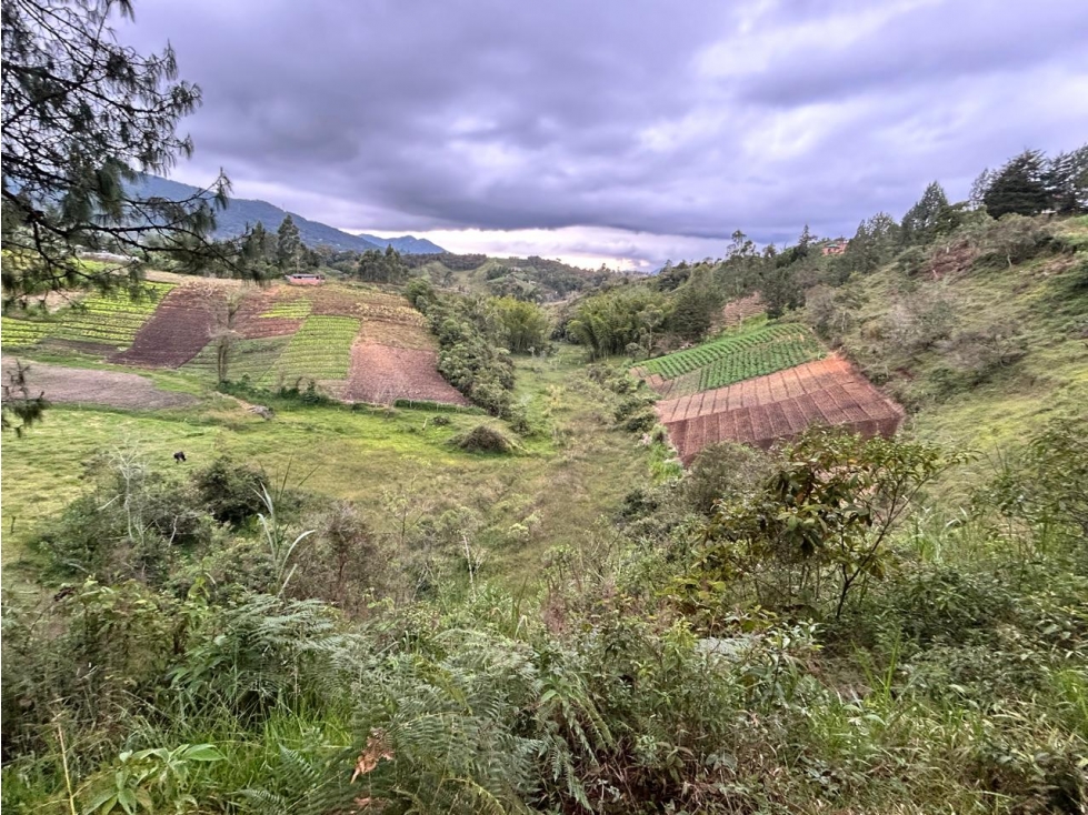 Lote, Vereda Aldana Abajo, El Santuario — foto 2