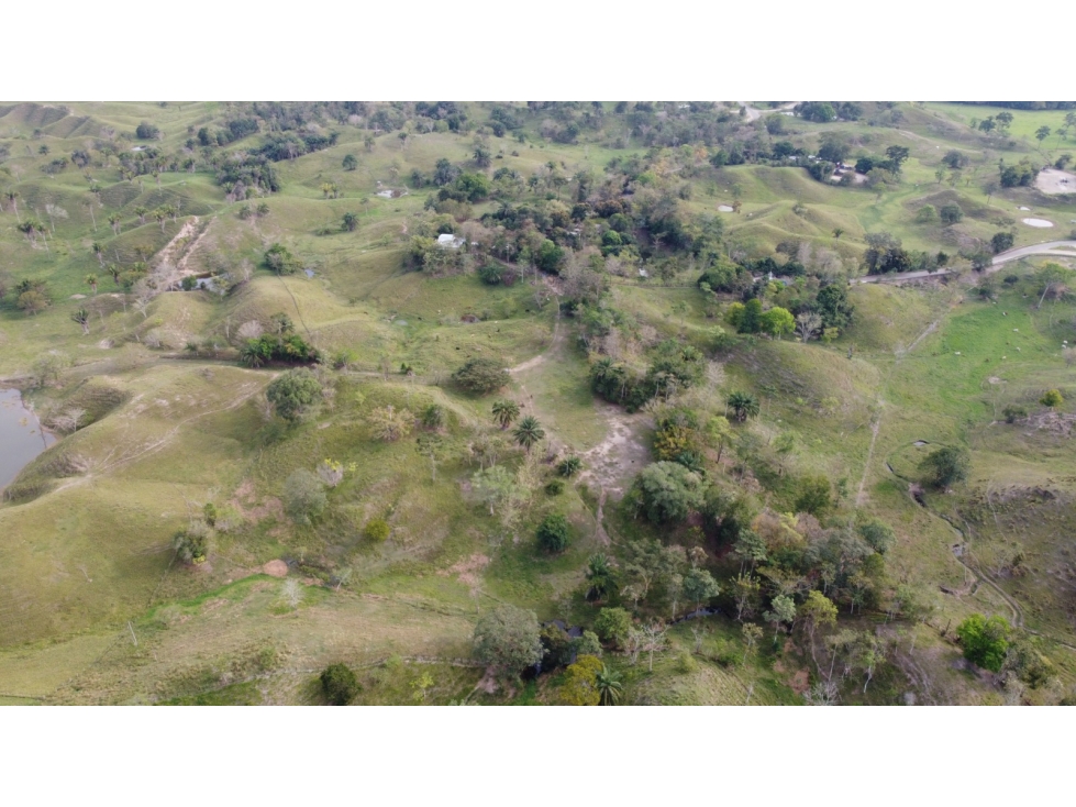 Lote en Puerto Boyaca - 1